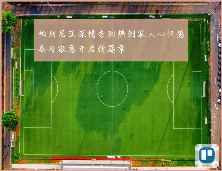 帕利尼亚深情告别热刺家人心怀感恩与敬意开启新篇章
