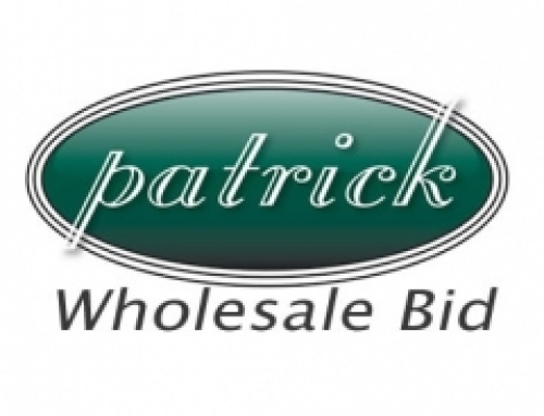 Patrick Auto Group Bid Sale, Chicago IL